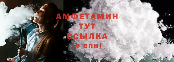 Альфа ПВП Пересвет