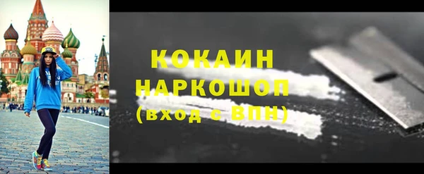 мет Алексин