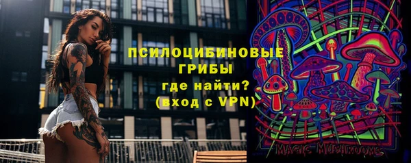мет Алексин