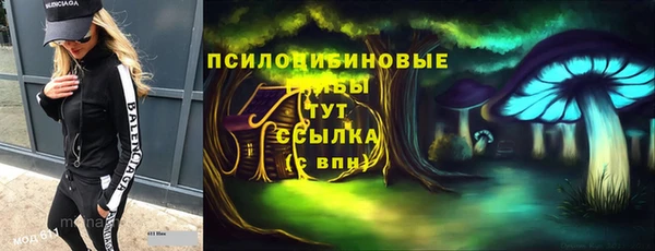 стаф Абаза