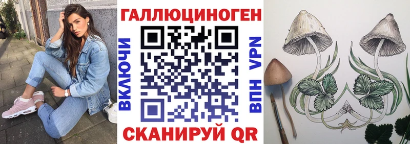 Псилоцибиновые грибы Psilocybine cubensis  Краснозаводск 